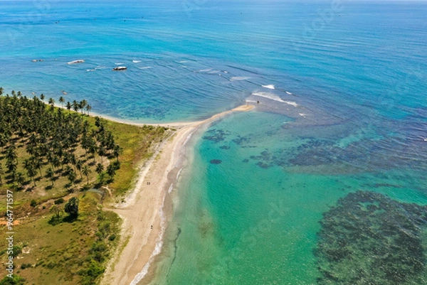 Obraz Aerial view of beach, clear ocean and palm trees in Pasikuda, Sri Lanka