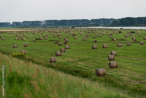 Fototapeta Bele siana w pobliżu ujścia Wisły do Morza Bałtyckiego. Zachód słońca