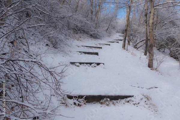 Obraz Snowy Pathway