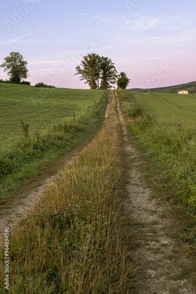 Obraz un chemin entre deux champs cultivés avec un ciel rose