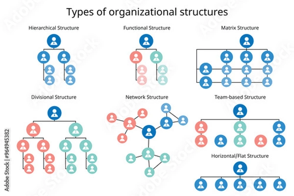Fototapeta 7 types of organizational structures to organize the company organization chart