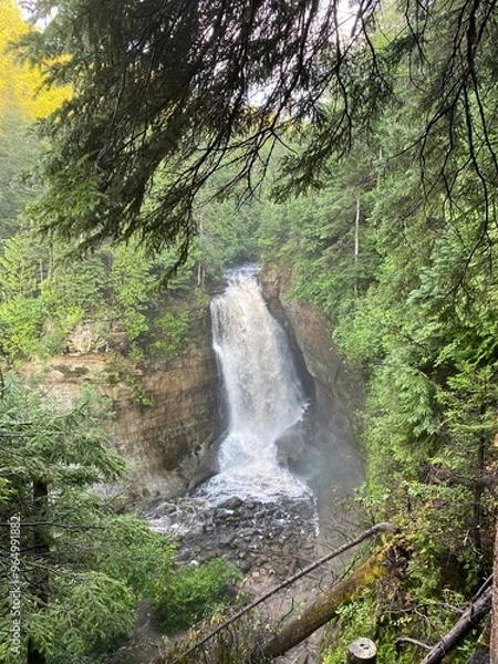 Obraz waterfall in the woods