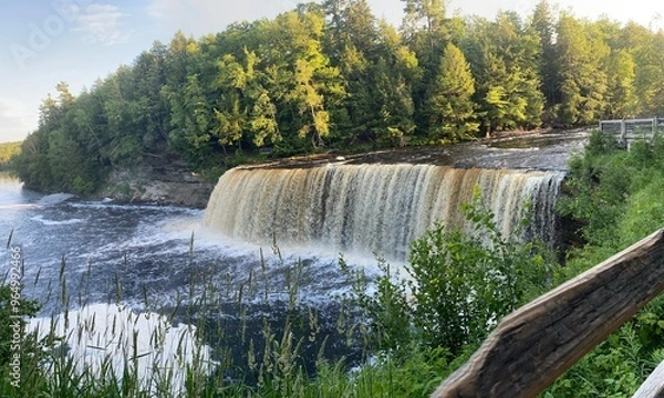 Obraz waterfall in the forest