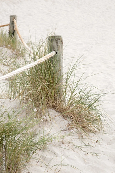 Obraz Wooden Post and Grass, Saona Cove Beach, Formentera