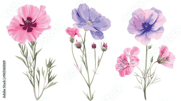 Obraz set of pencil style colorful birth flowers on a white background