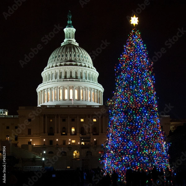 Fototapeta U.S. Capitol Christmas Tree