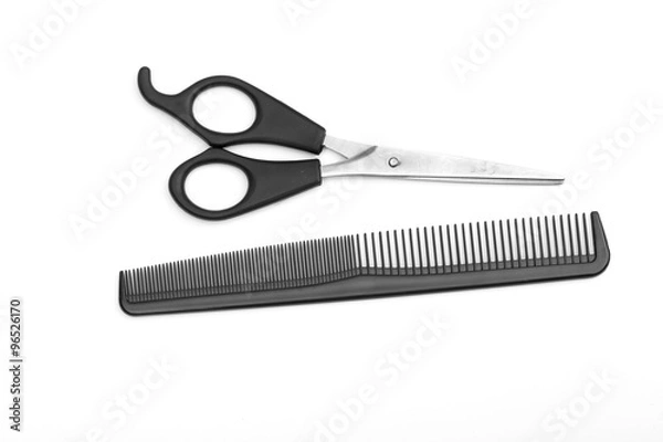 Obraz clipper on the white background