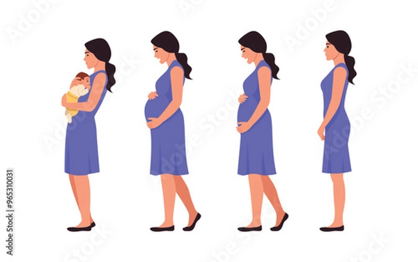 Fototapeta Vector illustration of pregnancy period. Cartoon scene of a beautiful woman with a flat tummy, a growing tummy and holding a baby in her arms isolated on a white background. From conception to birth.