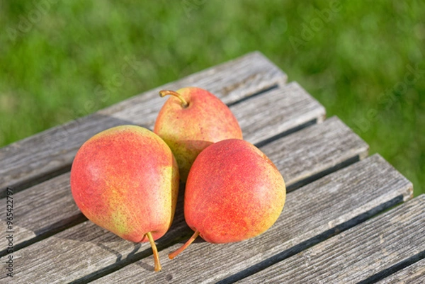 Fototapeta Three pears on a wooden table on a green lawn background