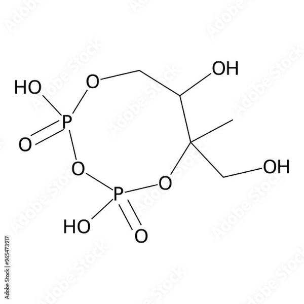 Obraz 2,4-dihydroxy-2,4-diketo-6-methyl-6-methylol-1,3,5,2lambda5,4lambda5-trioxadiphosphocan-7-ol