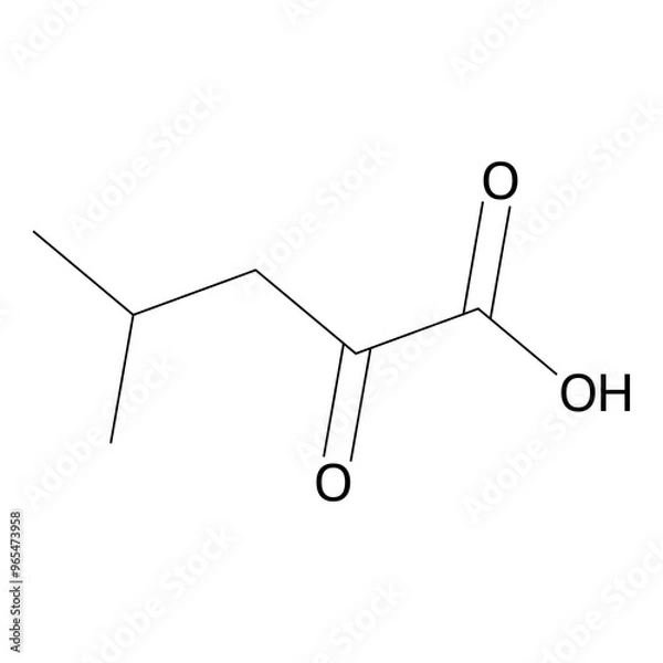 Obraz 2-keto-4-methyl-valeric acid