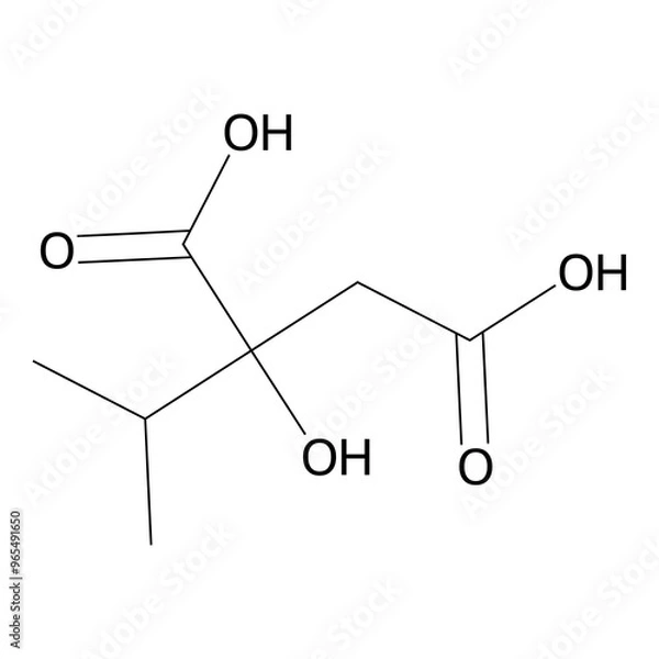 Obraz 2-hydroxy-2-isopropyl-succinic acid