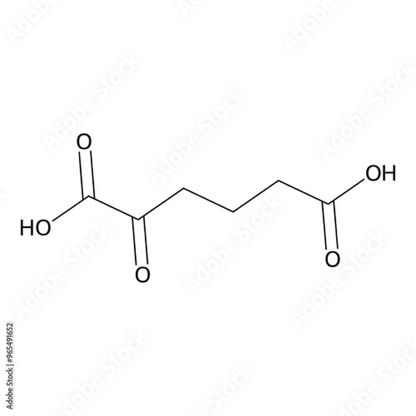 Obraz 2-ketoadipic acid