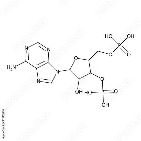 Fototapeta [5-adenin-9-yl-4-hydroxy-2-(phosphonooxymethyl)tetrahydrofuran-3-yl] dihydrogen phosphate
