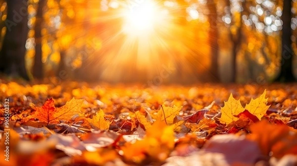Fototapeta Cozy autumn scene, vibrant foliage blankets the forest floor, soft light filters through trees, inviting tranquility and warmth.