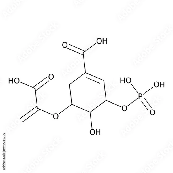 Fototapeta 5-(1-carboxyvinyloxy)-4-hydroxy-3-phosphonooxy-cyclohexene-1-carboxylic acid