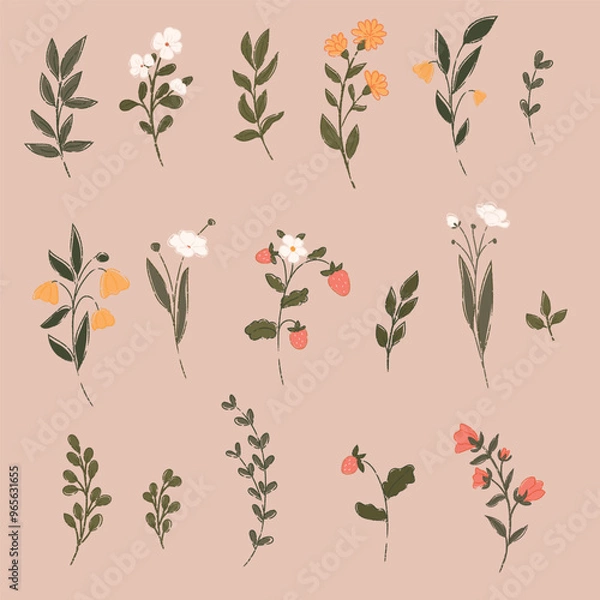 Obraz Set of wildflower. Strawberry flower. Hand drawn vector illustration.