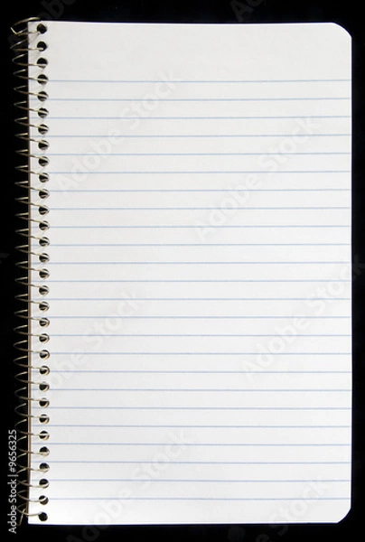 Obraz Torn page from spiral notebook