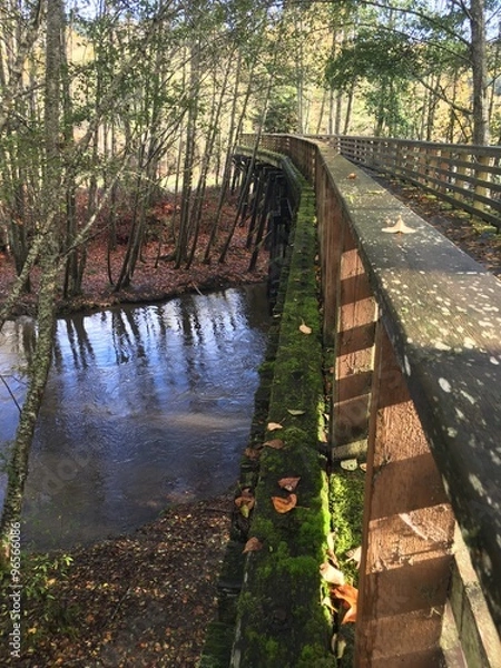Fototapeta Mossy bridge