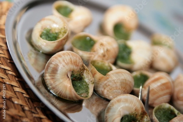Obraz escargot de bourgogne