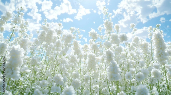 Obraz flowers wallpaper image, with blank space for copy, beautiful floral background