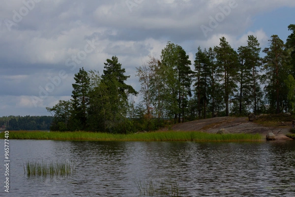 Fototapeta View of the forest beside the river against a cloudy sky