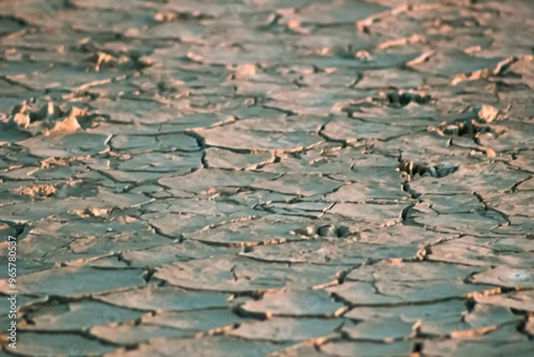 Obraz dried mud texture