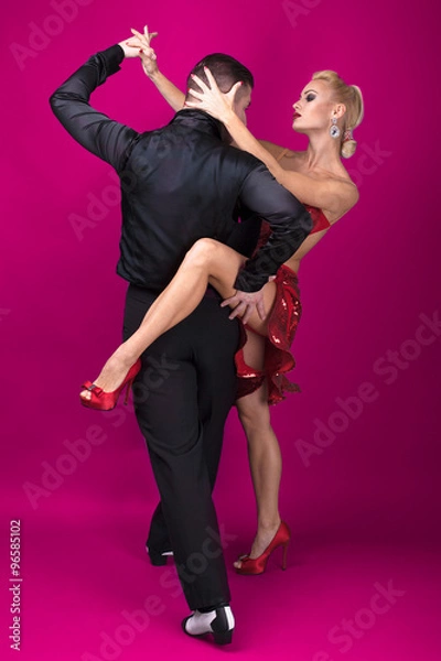 Obraz Dance partners