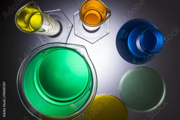 Fototapeta Laboratory equipment beakers test tubes and petrie dishes  shot from above cropped and with reflection