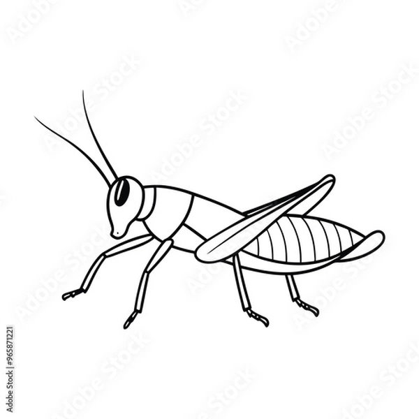 Obraz Grasshopper Vector Illustration - Cartoon, Clipart, and Line Art Design.eps