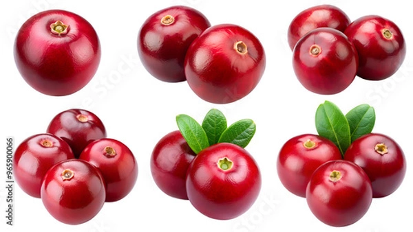 Fototapeta Red cranberries isolated on a transparent background png