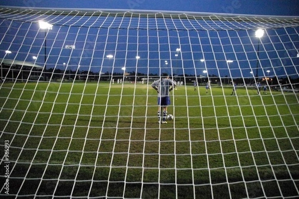 Fototapeta behind the net