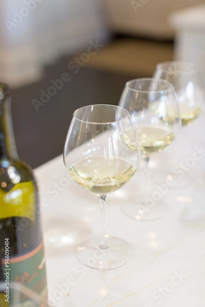 Fototapeta row of white wine in wine glasses