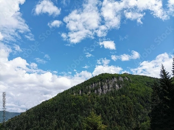 Fototapeta Cloudy sky in Mala Fatra. Rocky hill with a forest. Countryside in Slovakia. Hiking in nature. Blue and green colors. 