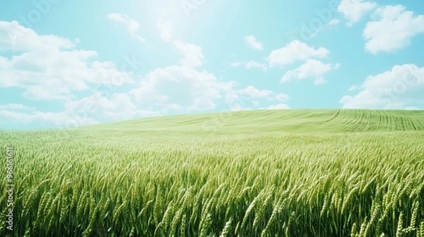 Fototapeta Expansive Photorealistic Field with Lush Green Grass and Serene Horizon. AI generated illustration