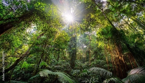 Obraz green forest in the morning