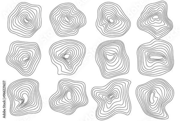 Fototapeta Abstract tree rings. Vector topographic map concept background. Thin black lines on white.