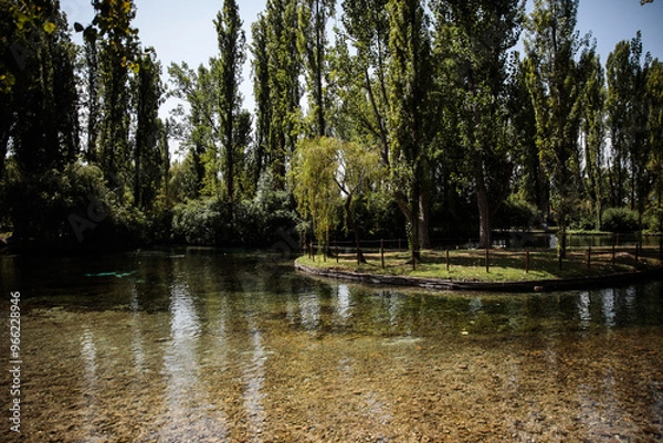 Obraz lake in the park