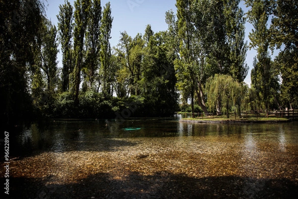 Obraz lake in the summer