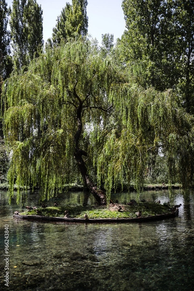 Obraz small island in a pond