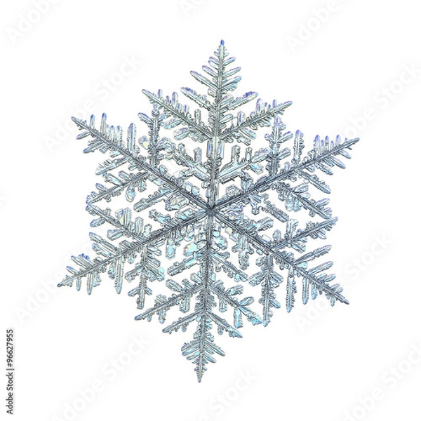 Fototapeta Real snowflake macro photo: very large fernlike dendrite crystal, isolated on white background