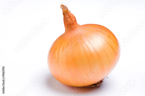 Fototapeta Onion