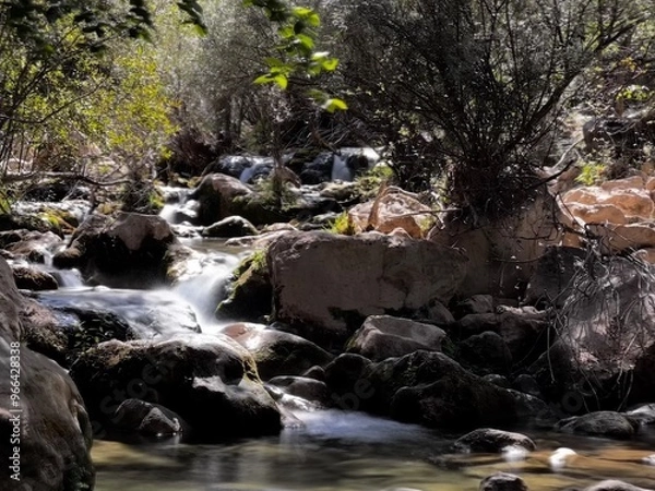 Fototapeta Río Guadalquivir en la sierra de Cazorla, bajando por las rocas