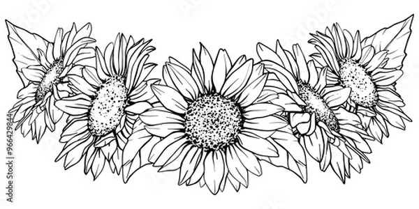 Obraz Vector Sunflower illustration. Flower arrangement drawing in line art style. Botanical sketch of chamomile painted by black inks. Hand Drawn Bouquet of daisies. Graphics element outline