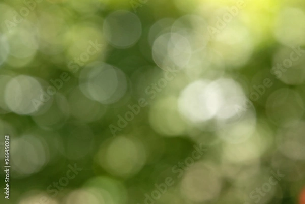 Obraz Unscharfe Hintergrundebene von Blättern