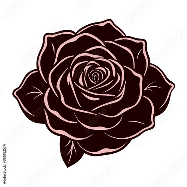 Fototapeta Black Rose
