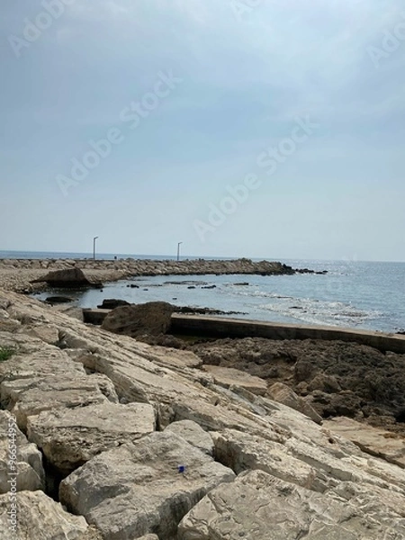 Obraz pier on the coast