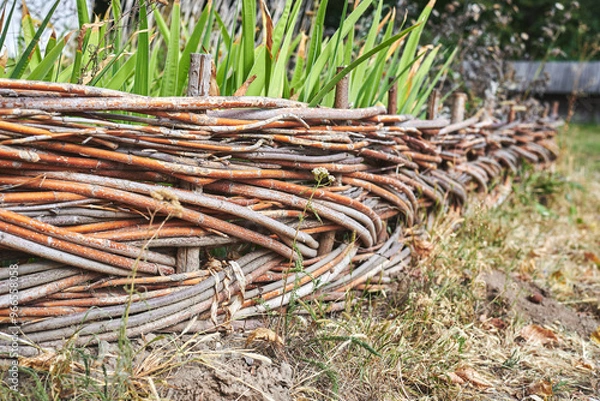 Fototapeta Close-up of old rustic wicker fence in the garden. Traditional handmade wattle fence in the village