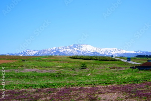 Obraz 春の月山 - 雪と新緑が織りなす絶景