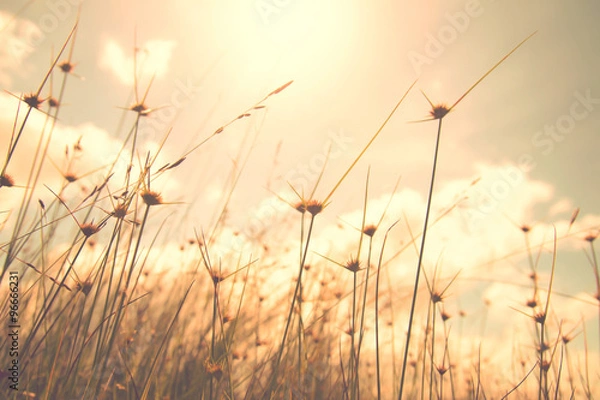 Fototapeta clouds on sky in the evening